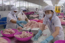 Vietnam posts economic growth of 7.02%
