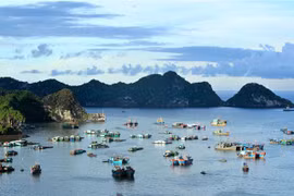 Cat Ba island - A pearl of northern Vietnam
