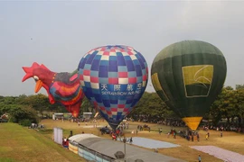 Hot air balloon festival enchants visitors