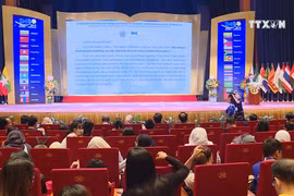 2019 Int’l Maths and Science Olympiad takes place in Hanoi