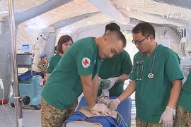 Vietnam active in UN peacekeeping mission