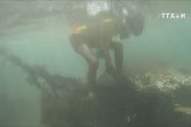 Trash threatens Da Nang coral reef