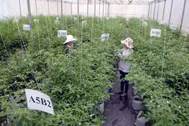 RoK enterprise invests in high-tech agricultural project