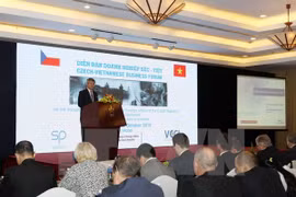 Vietnamese, Czech enterprises seek cooperation