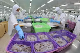 Trade with Brazil to reach 4 billion USD in 2015