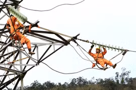Expert urges Vietnam to reform energy sector 