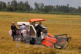 DPRK delegation seeks investment opportunities in Hau Giang 