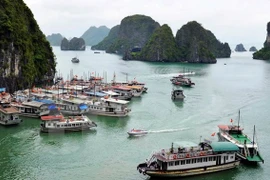 Quang Ninh bans construction of new tourist boats