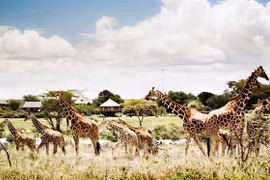 Vietnam’s first wildlife park launched in Phu Quoc