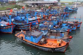 Quang Tri fishing vessels to be equipped with LED lights