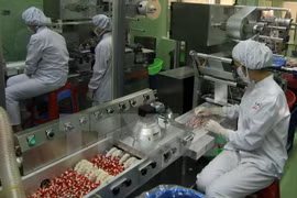 Twenty herbal medicine factories meet GMP standards