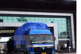  Export-import inspection exposes flaws