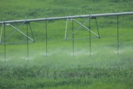  Vietnamese, Japanese farming firms seek investment ventures