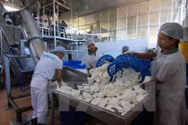 Largest coconut processing factory inaugurated in Ben Tre 