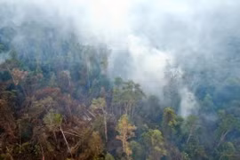Indonesia accepts international help to address haze