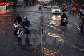 Ho Chi Minh City strengthen ties with Netherlands’ Emmen City