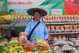 Vietnam-China trade fair opens in Quang Ninh
