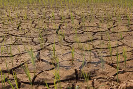 Extreme weather events to become more acute in Vietnam