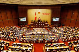 General elections, electoral council, Civil Code approved