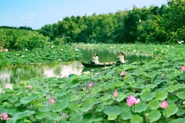 Lang Sen Wetland Reserve becomes Vietnam’s 7th Ramsar site 