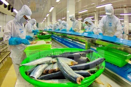 Local firms advised to study Iranian market