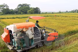 Farming sector urged to restructure as competition grows