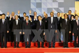 President Truong Tan Sang meets APEC leaders