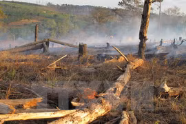 Course helps rangers combat wildlife crime