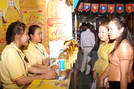 Vietnam-Lao Trade Fair 2015 opens in Laos