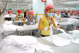 Can Tho to step up economic restructuring in 2016