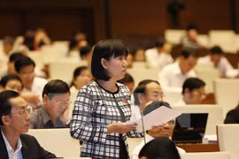 National Assembly deputies continue plenary session 