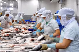 Enterprises have two years to prepare for FTAs