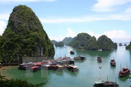 Quang Ninh to focus on green growth