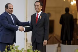 Indonesia, Egypt strengthen anti-terrorism cooperation