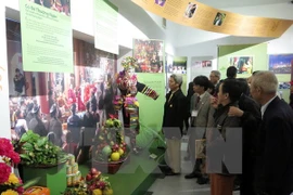  Exhibition promotes Mother Goddess worship