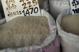 Indonesia likely to import rice due to affects of El Nino 