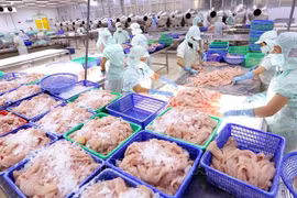 Vietnamese seafood sector to enjoy strong growth in 2021-2030: Report 