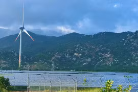 Ninh Thuan strives to become renewable energy hub