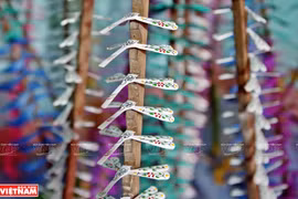 Bamboo damselfly - A unique souvenir of Vietnam 