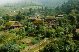 Unique mossy roofs on Tay Con Linh range