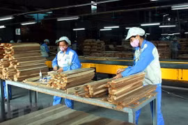 Wood processing industry to be major economic sector by 2030