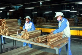 Wood processing industry to be major economic sector by 2030