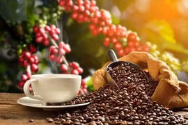 Coffee exports surge nearly 50% in H1
