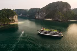 Exploring the beauty of Lan Ha Bay 