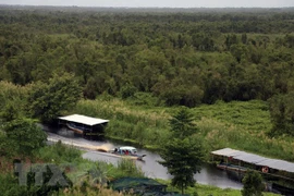 U Minh Thuong National Park biosphere ecotourism