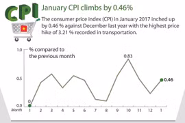 January CPI climbs by 0.46 percent