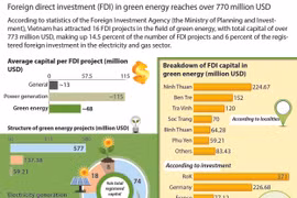 FDI in green energy reaches over 770 million USD