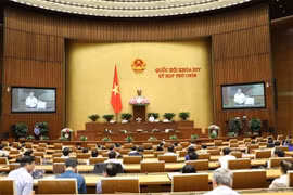 Vietnam Border Guard Law to be further debated in next NA sitting
