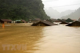 Prime Minister directs provision of seeds to flood-hit provinces