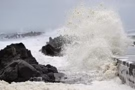Up to 13 tropical storms, depressions to enter East Sea this year